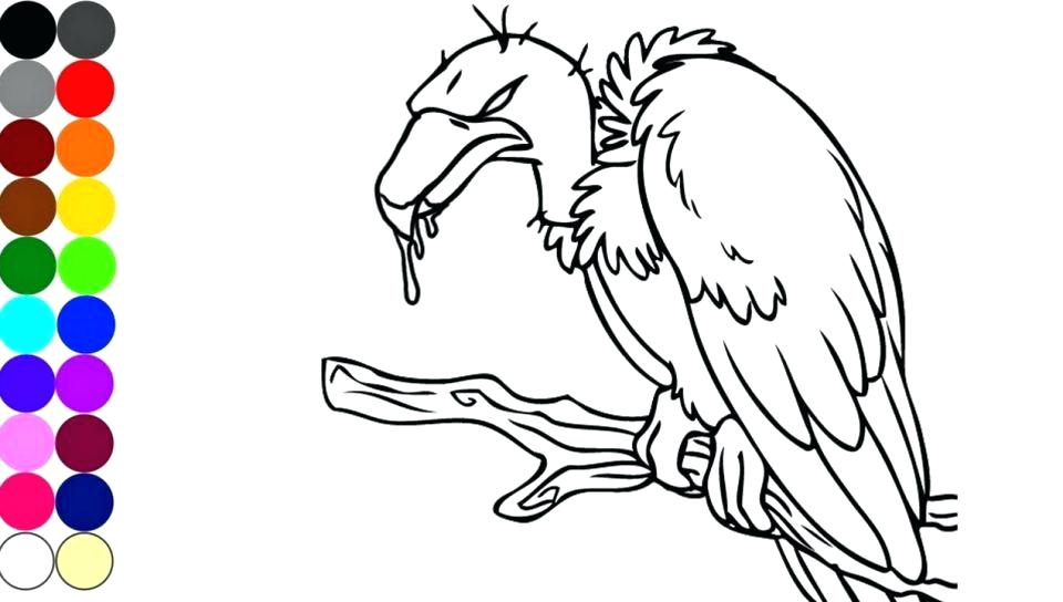 960x544 Vulture Coloring Pages