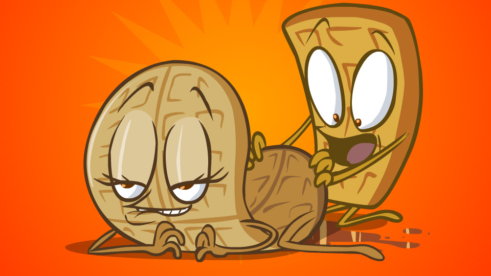 960x540 Waffles! Flash Videos