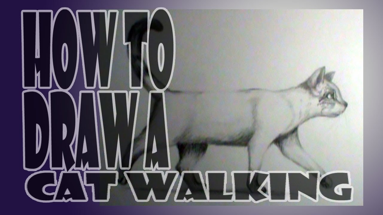 1280x720 How To Draw A Cat Walking