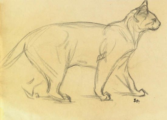 550x398 Alexandre Steinlen (Suiza, 1859 1923). Study Of A Cat