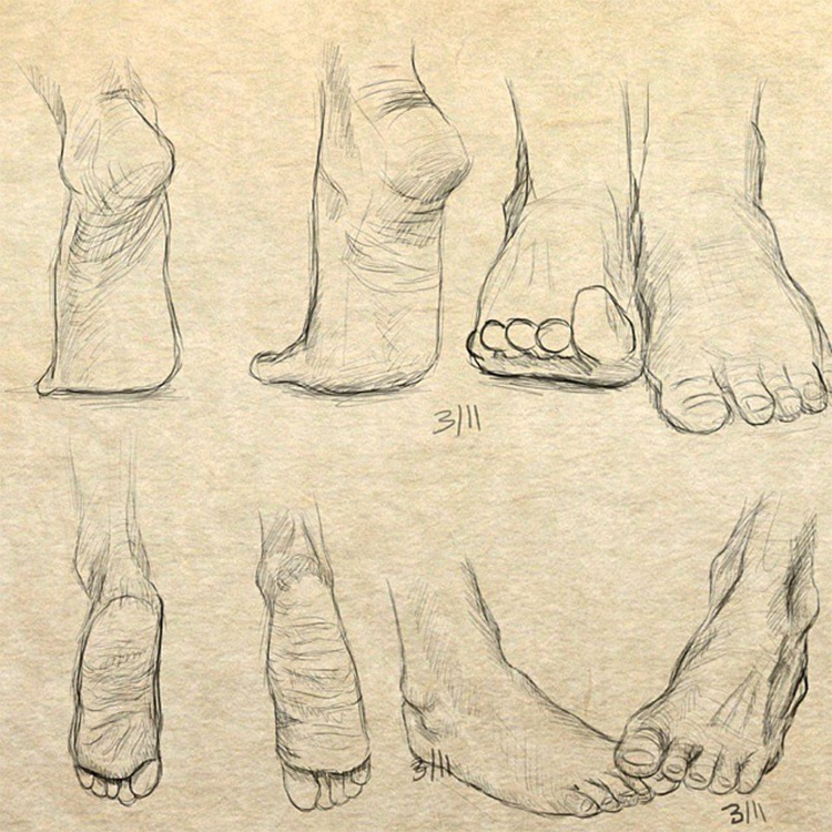 750x750 Drawings Of Feet Sketches Amp Anatomy Studies