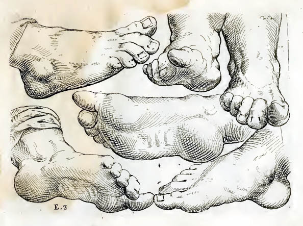 594x443 Gurney Journey Fialetti's Figure Drawing Books