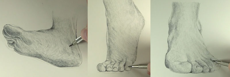800x269 How To Draw Feet