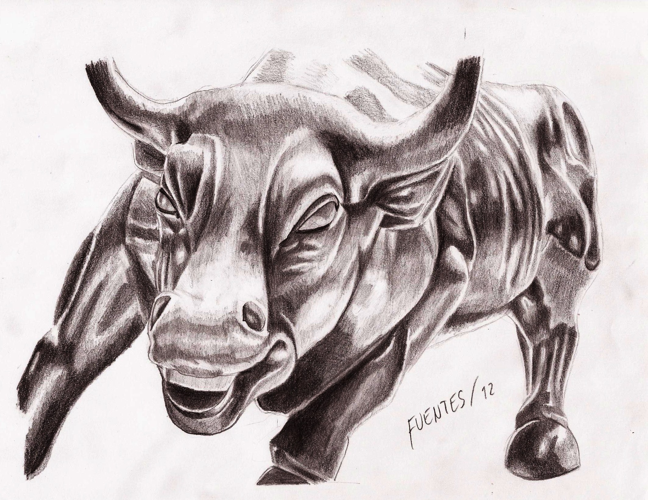 2128x1640 Wall Street Bull Pencil Drawing Fuentes H.