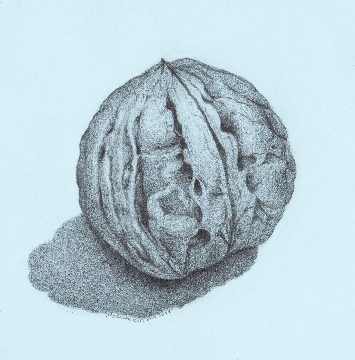 1181x1200 Walnut (Drawing), 14x14 Cm By Nives Fine Detailed Pencil