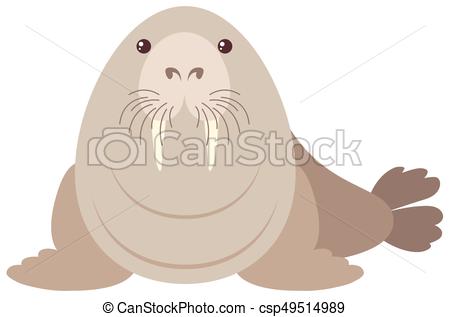 450x317 Walrus On White Background Illustration Vector