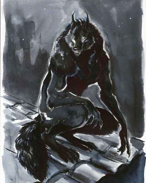 500x625 Draw A Werewolf