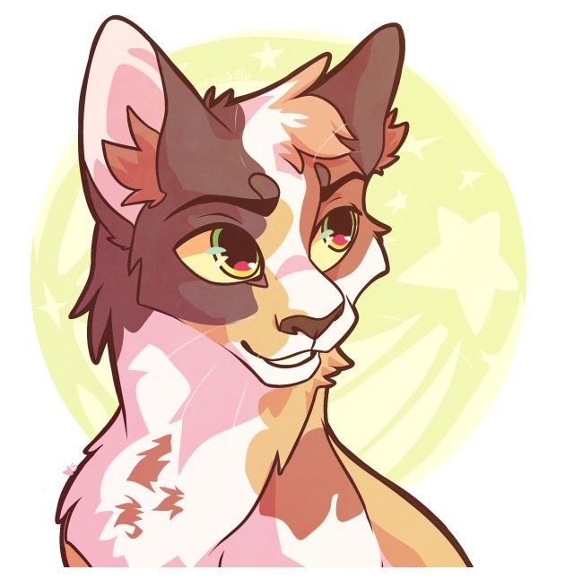 Warrior Cat Drawing Ideas at GetDrawings | Free download Cats Drawing Tumblr