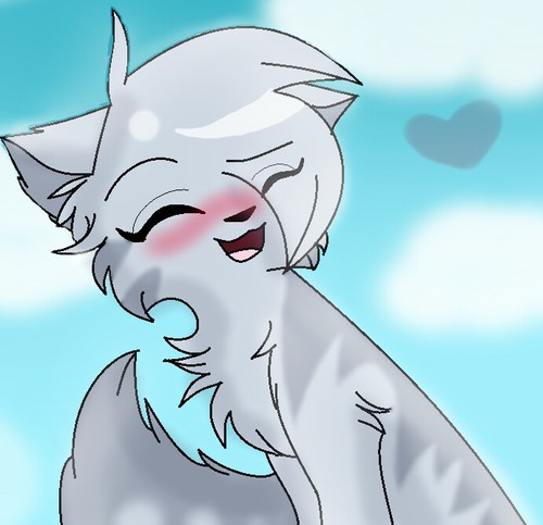 500x483 Drawing Cat Shared By Sel Superstar On We Heart It