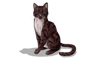 300x200 How To Draw Hawkfrost From Warrior Cats