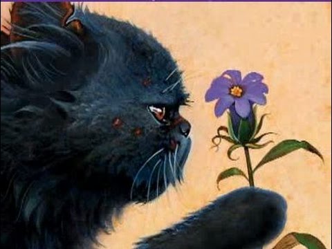 480x360 How To Draw Warrior Cats Yellowfang