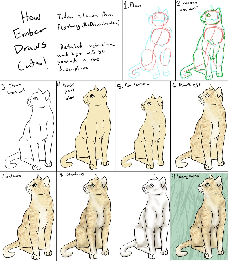 800x917 Anatomy Warrior Cat