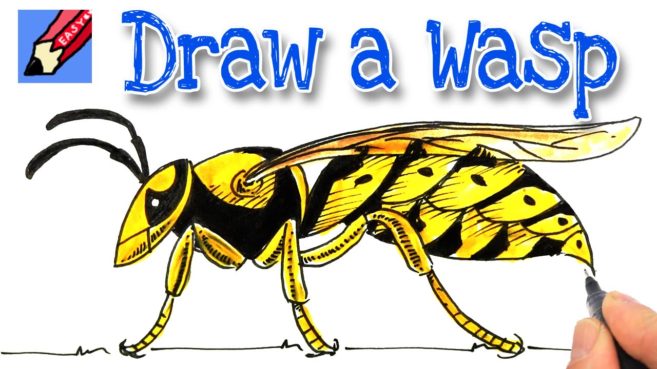 1280x720 How To Draw A Wasp Real Easy