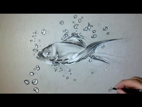 480x360 How To Draw A Fish In Water Easy Step By Step For Beginners Rock