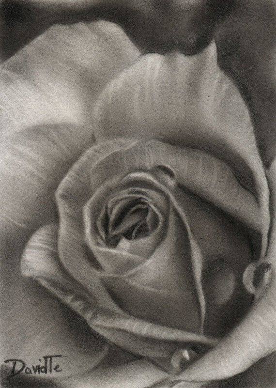 570x801 Drawn Water Droplets Flower Drawing