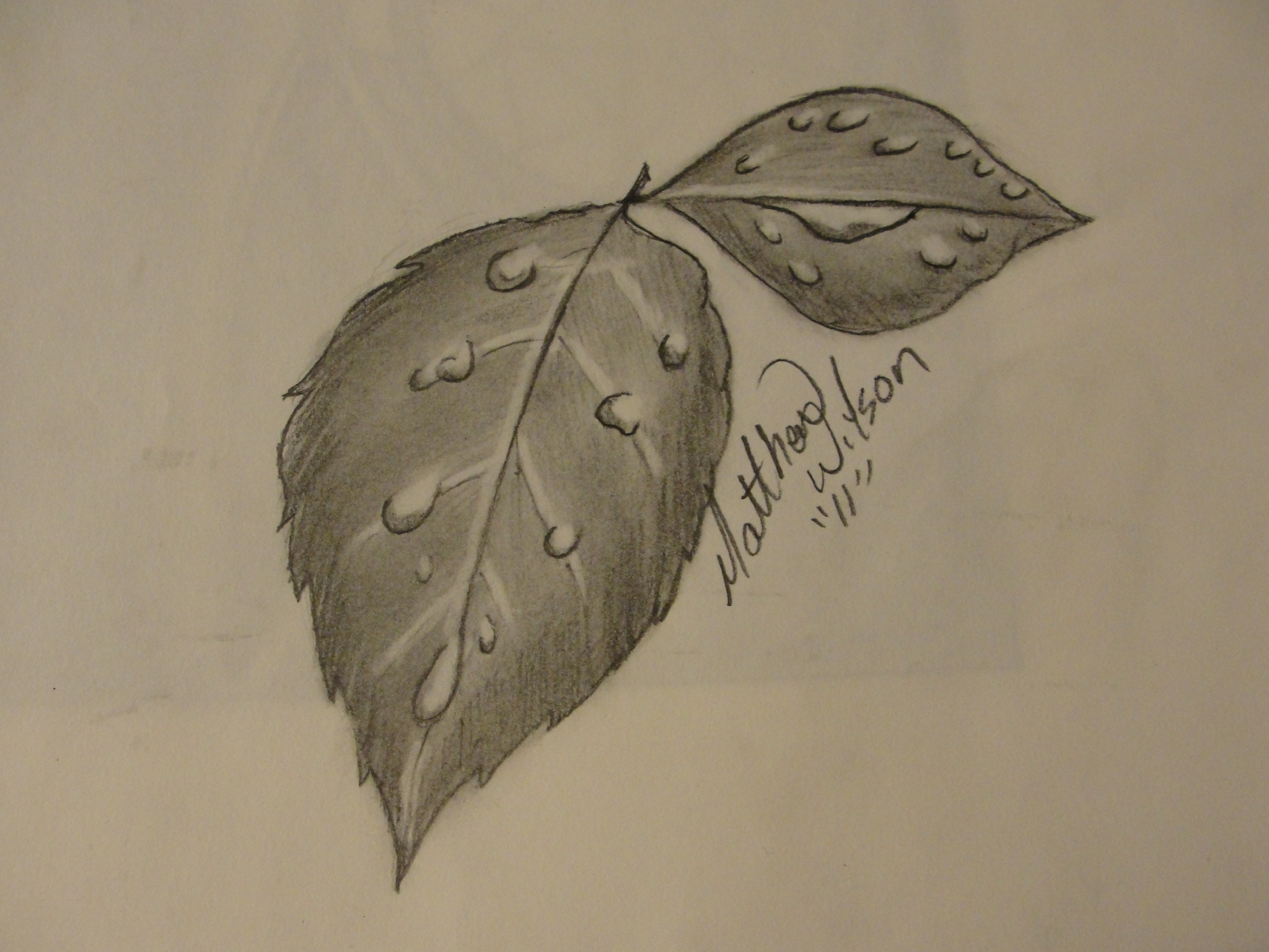 2048x1536 Water Drop Drawings Using Pencil Drawn Water Droplets Leave