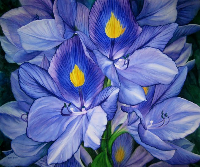 653x545 Karen Sioson Watercolors Water Hyacinth