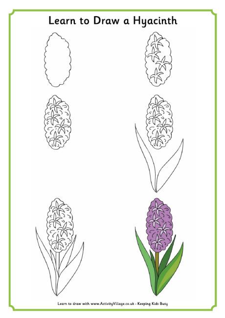 460x650 Learn To Draw A Hyacinth Drawings Learning