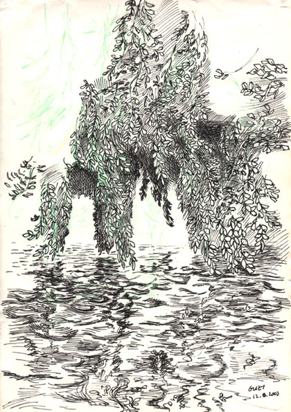 420x595 Sketch Of A Weeping Willow With Branches In Water