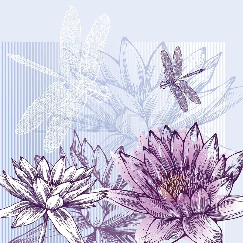 800x800 Floral Background With Blooming Water Lilies And Dragonflies