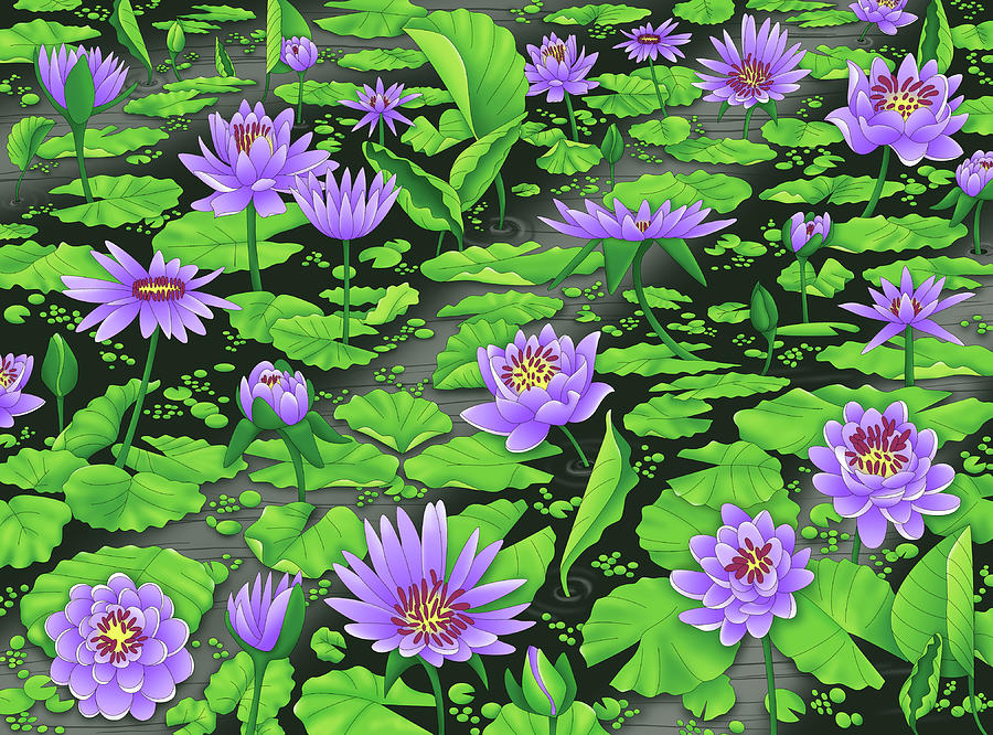 900x666 Water Lilies Digital Art By Alison Stein
