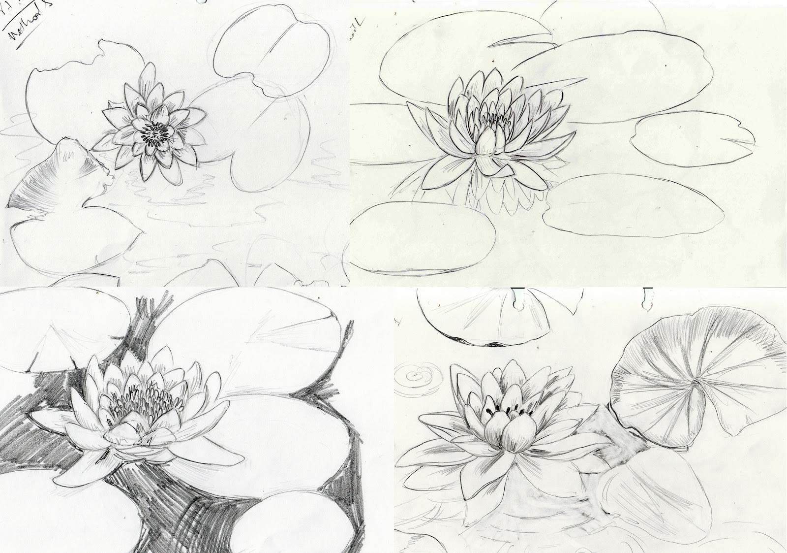 1600x1123 Weekly Doodles And Tuts How To Draw A Water Lily
