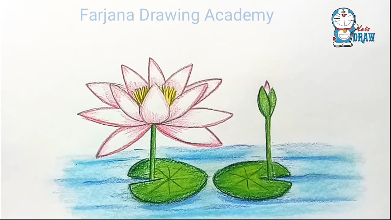 1280x720 How To Draw Water Lily Step By Step