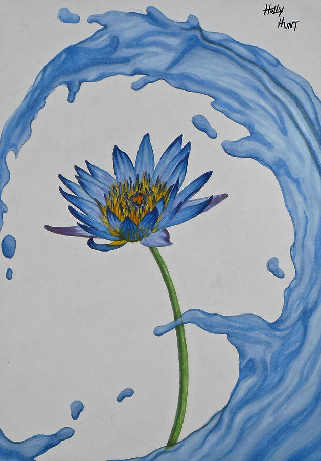 628x900 The Water Lily Drawing By Holly Hunt