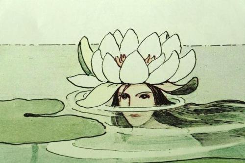 500x333 Water Lily Drawing Tumblr