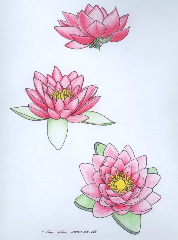 600x807 Water Lily Tattoo