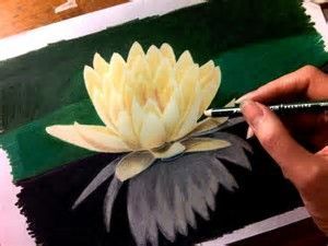 300x225 Image Result For Water Lily Flower Drawing Flowers