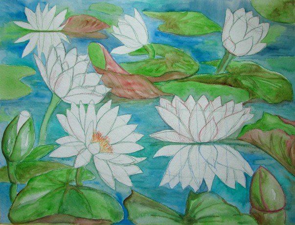 603x460 Watercolor Water Lilies Painting
