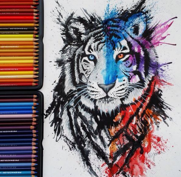 595x581 Watercolor Pencil Drawings