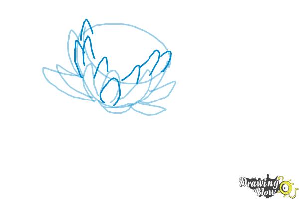 600x400 How To Draw A Lotus Flower, Water Lily