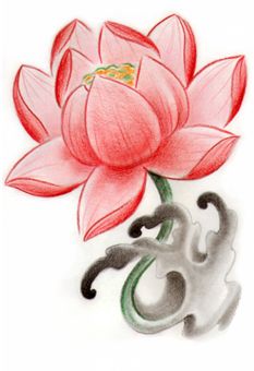 233x340 On Water Lilies Water Lily Tattoos And Lotus Drawing
