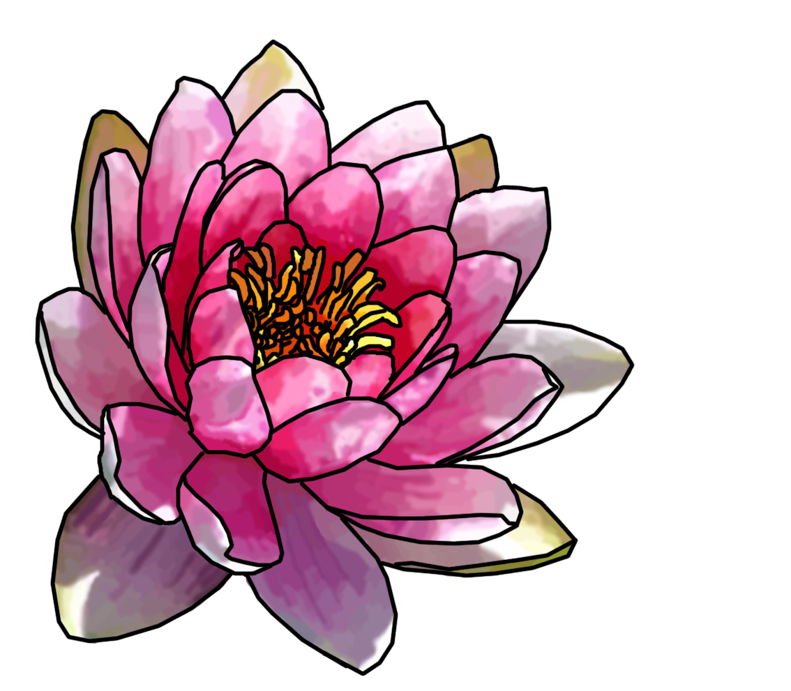 1134x991 Pink Water Lily Tattoos Water Lilies And Water
