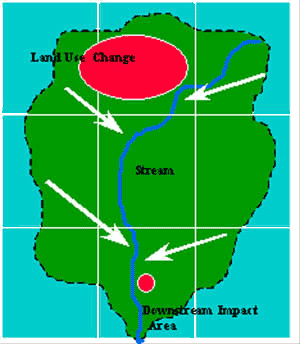 300x344 Minimizing Impacts