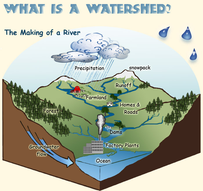 700x658 What Is A Watershed