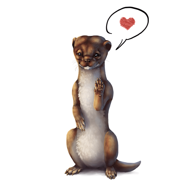 600x600 How To Draw Animals Weasels, Stoats, Minks, Polecats And Ferrets
