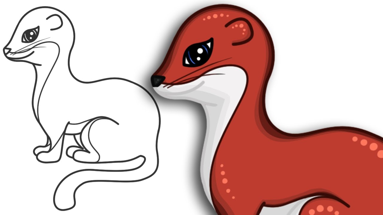 1280x720 How To Draw A Weasel Cute And Easy Step By Step Drawing