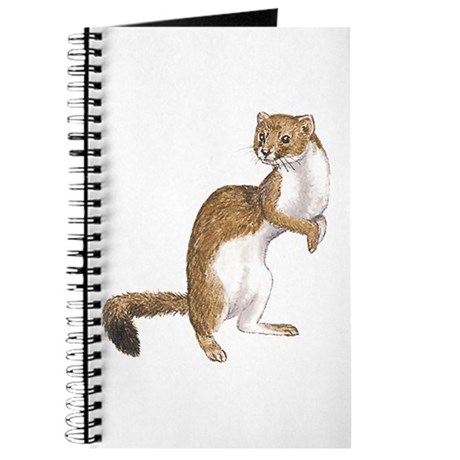 Weasel Drawing at GetDrawings | Free download