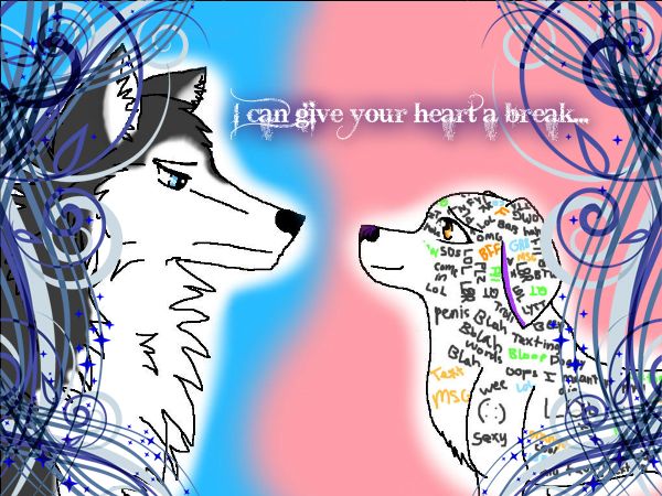 600x450 Cloverpuppy4047