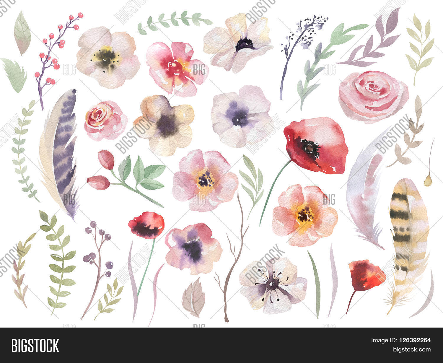 1500x1229 Watercolour Boho Flower Set. Image Amp Photo Bigstock
