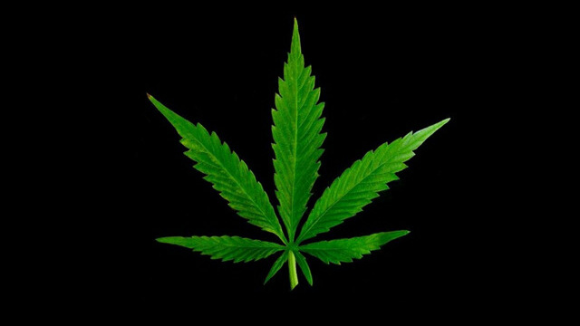 640x360 Pot Pictures Tumblr