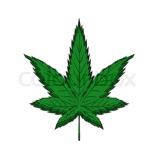 Weed Leaves Drawing at GetDrawings | Free download