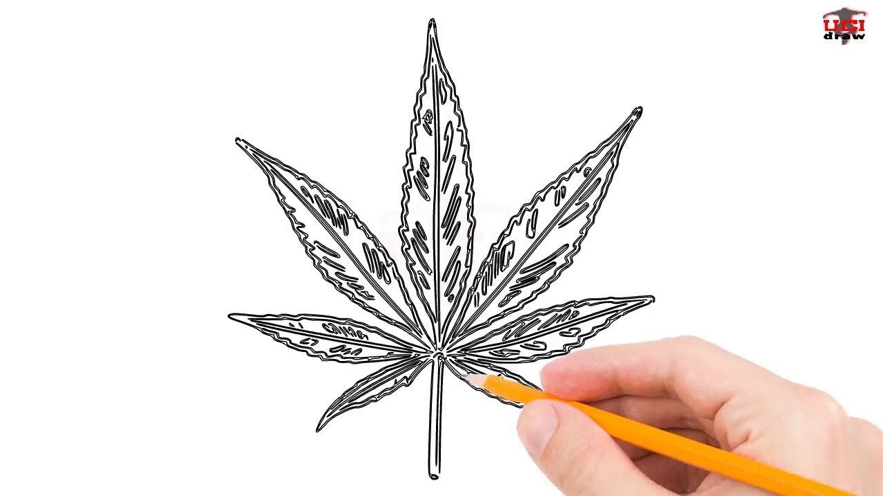 1280x720 How To Draw A Pot Leaf Step By Step Easy For Beginnerskids
