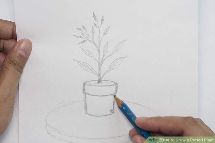 728x485 How To Draw A Potted Plant 8 Steps (With Pictures)