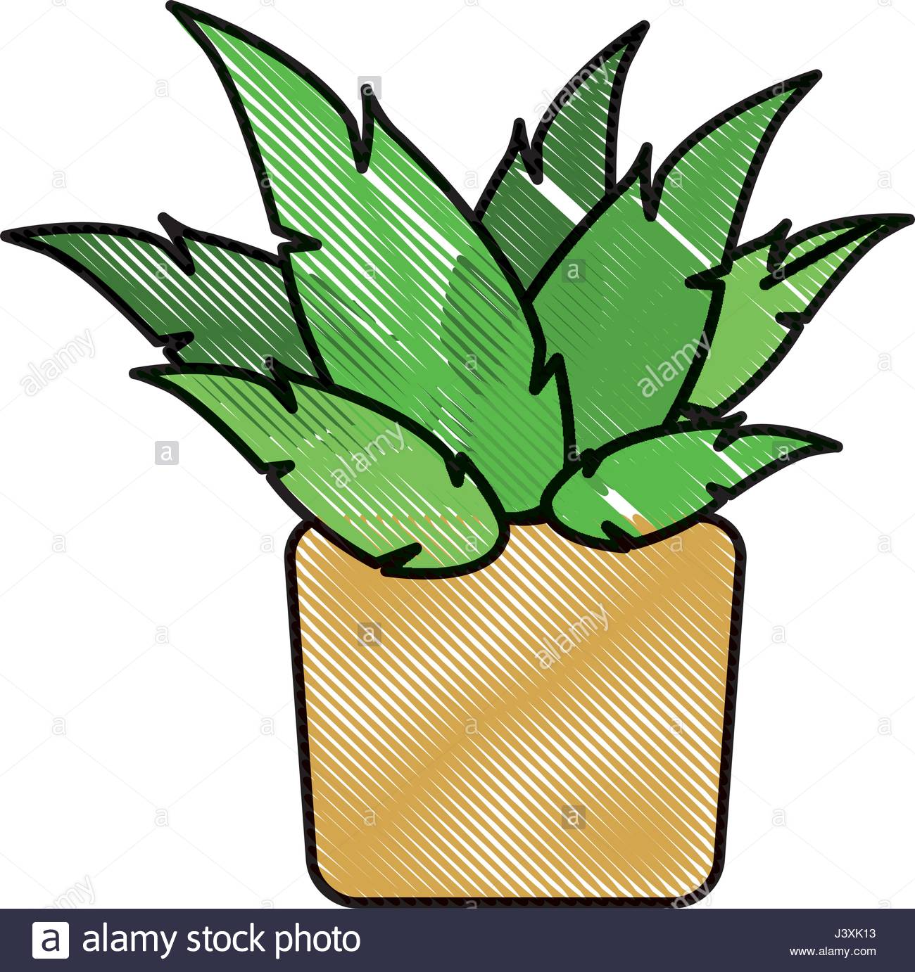 1300x1382 Drawing Pot Plant Decoration Botanic Natural Stock Vector Art