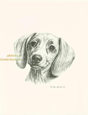 308x400 30 Dachshund Dog Art Print Pen And Ink Drawing Jan Jellins