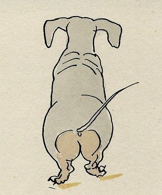 333x400 838 Best Dachshund Art Images On Dachshund Dog